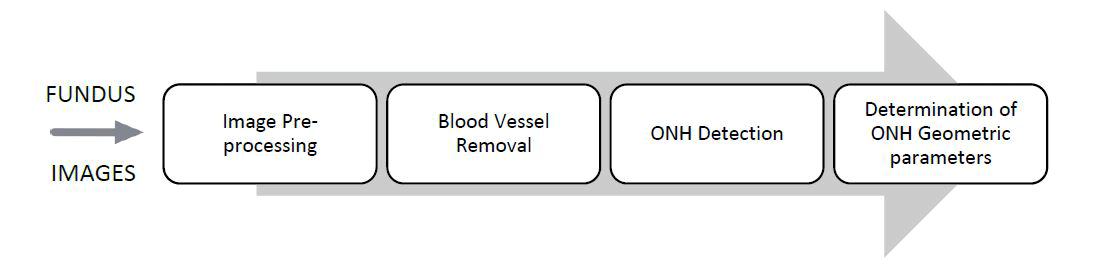 Glaucoma detection steps